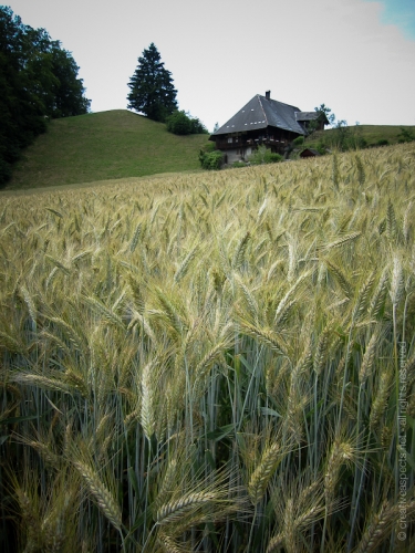 creativeaspects_portfolio_switzerland_022