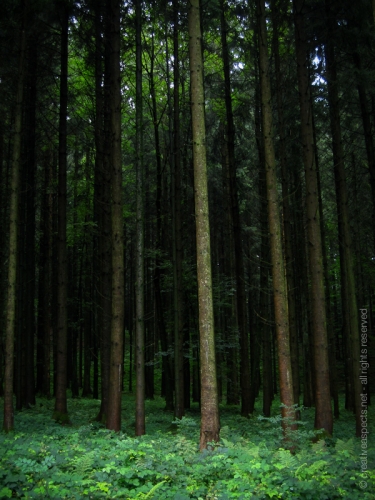 creativeaspects_portfolio_switzerland_026