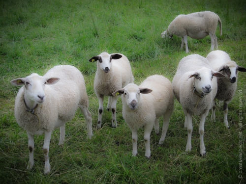 creativeaspects_portfolio_switzerland_028