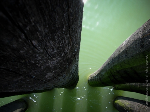 creativeaspects_portfolio_switzerland_032