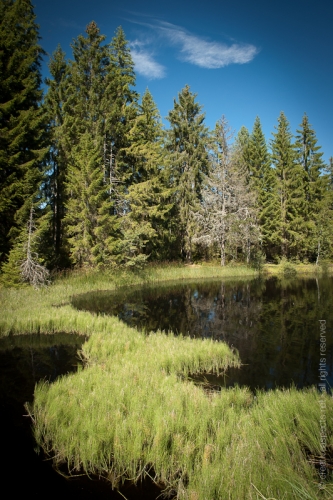 creativeaspects_portfolio_switzerland_035