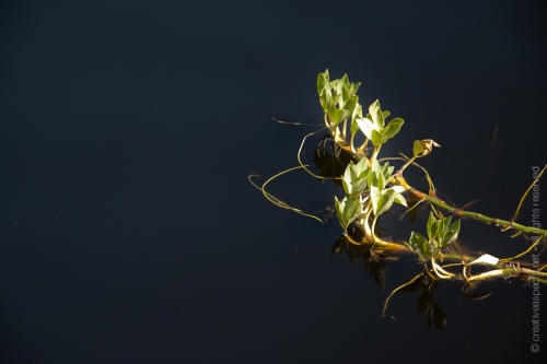 creativeaspects_portfolio_switzerland_036