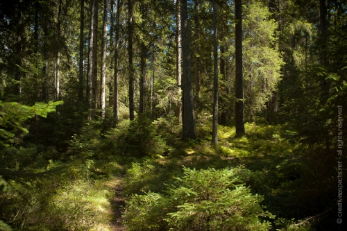 creativeaspects_portfolio_switzerland_037