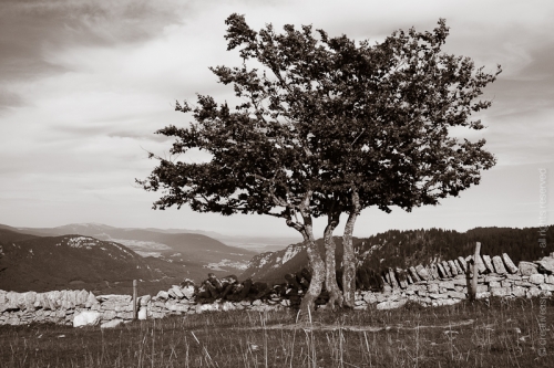 creativeaspects_portfolio_switzerland_041