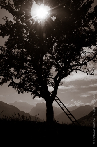 creativeaspects_portfolio_switzerland_042