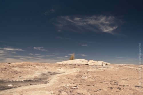 creativeaspects_portfolio_utah_I_001