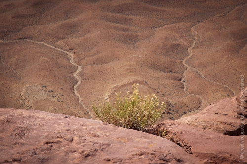 creativeaspects_portfolio_utah_I_008