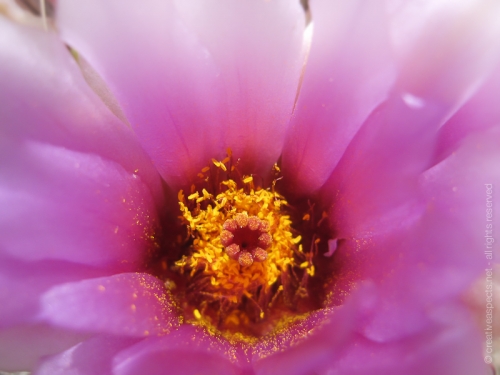 creativeaspects_portfolio_utah_I_010