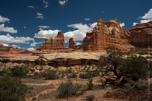 creativeaspects_portfolio_utah_I_011