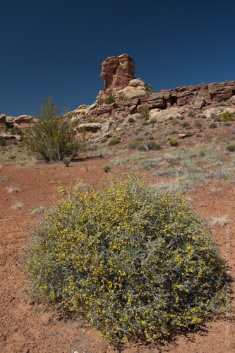 creativeaspects_portfolio_utah_I_013