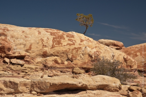 creativeaspects_portfolio_utah_I_014