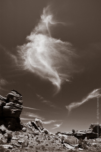 creativeaspects_portfolio_utah_I_018