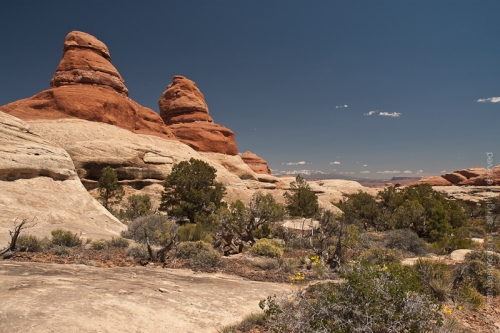 creativeaspects_portfolio_utah_I_019