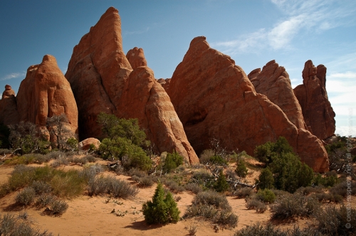 creativeaspects_portfolio_utah_I_027