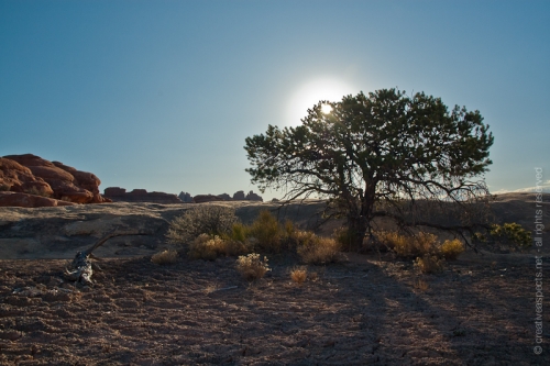 creativeaspects_portfolio_utah_I_034