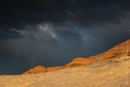 creativeaspects_portfolio_utah_ll_001