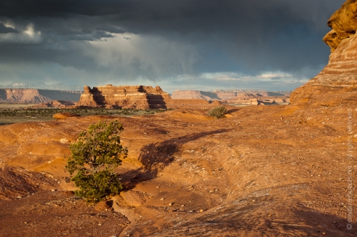 creativeaspects_portfolio_utah_ll_002