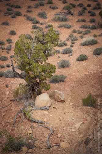 creativeaspects_portfolio_utah_ll_004