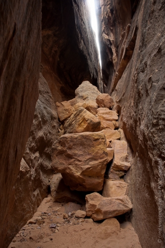 creativeaspects_portfolio_utah_ll_007