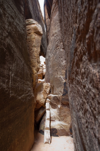 creativeaspects_portfolio_utah_ll_008