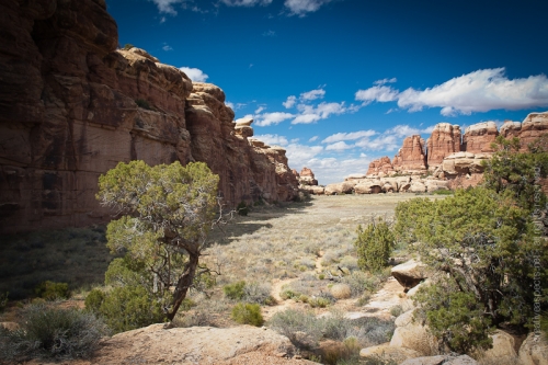 creativeaspects_portfolio_utah_ll_010