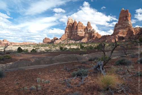 creativeaspects_portfolio_utah_ll_011