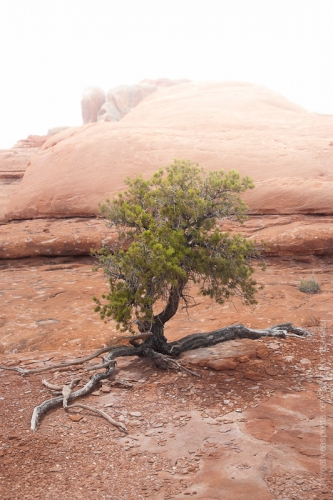 creativeaspects_portfolio_utah_ll_012