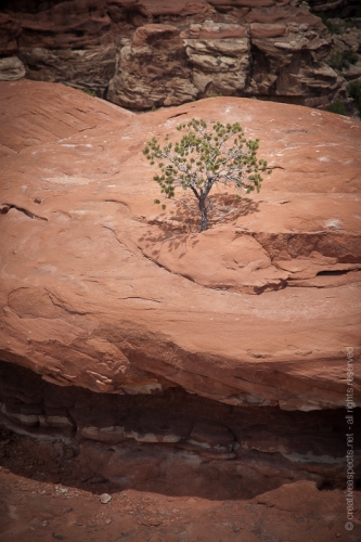 creativeaspects_portfolio_utah_ll_013