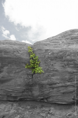 creativeaspects_portfolio_utah_ll_015