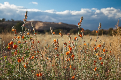 creativeaspects_portfolio_utah_ll_017