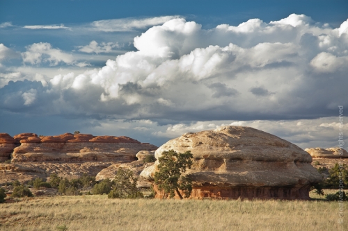 creativeaspects_portfolio_utah_ll_018