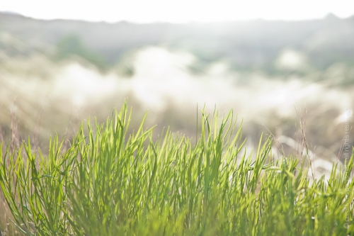 creativeaspects_portfolio_utah_ll_019