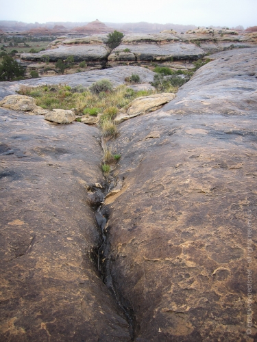 creativeaspects_portfolio_utah_ll_020