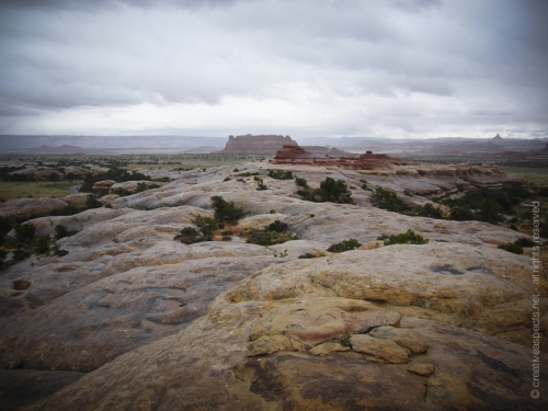 creativeaspects_portfolio_utah_ll_021