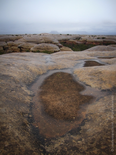 creativeaspects_portfolio_utah_ll_022