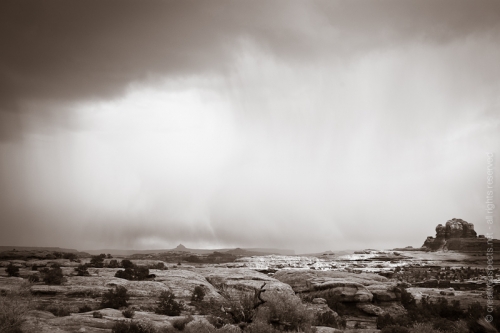 creativeaspects_portfolio_utah_ll_023