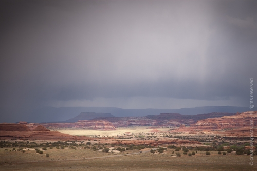 creativeaspects_portfolio_utah_ll_025