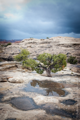 creativeaspects_portfolio_utah_ll_026