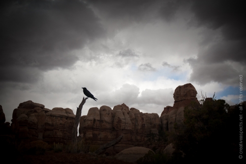 creativeaspects_portfolio_utah_ll_027