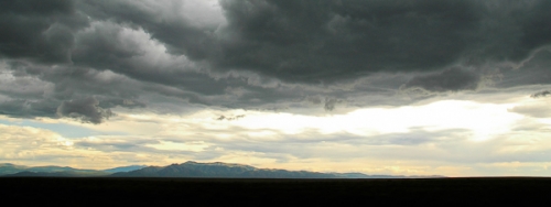 portfolio new mexico