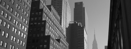 portfolio new york city