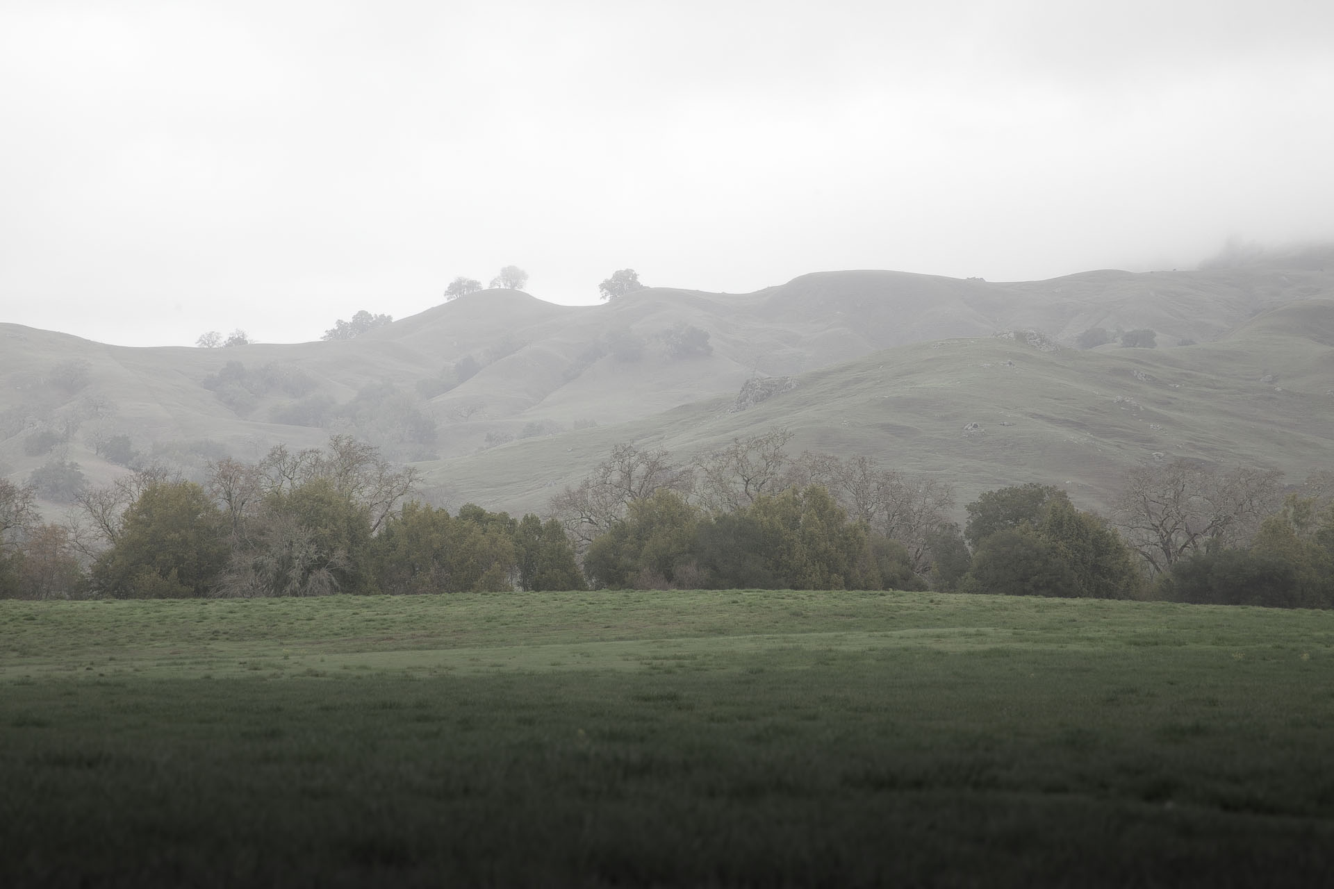 california wine country hills